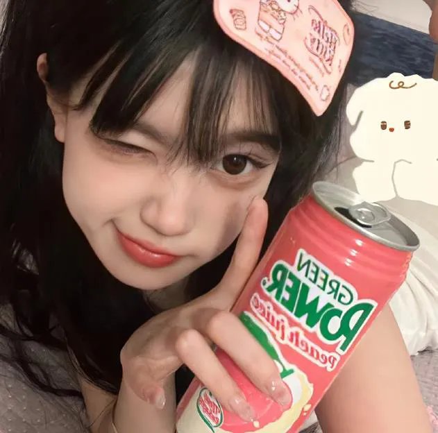 继承者风云